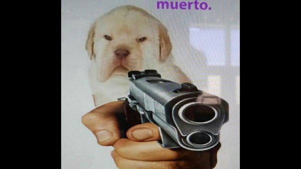 Револьвер собака