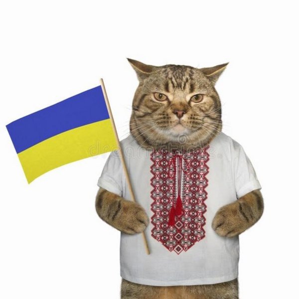 Кот украинец