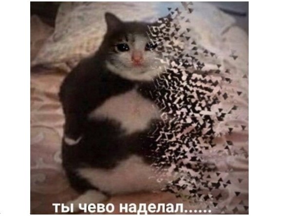 Кот растворяется