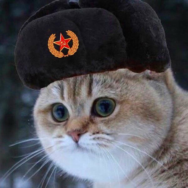 Шапка 'кошка'