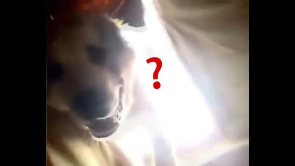 Баря Баря Баря бабушка