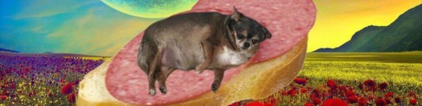 Собака на бутерброде