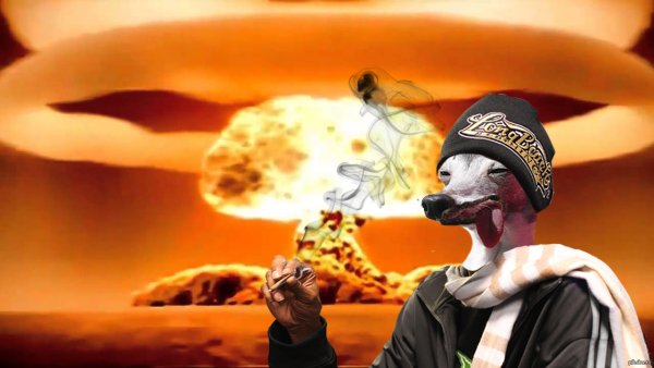 Снуп дог обкуренный