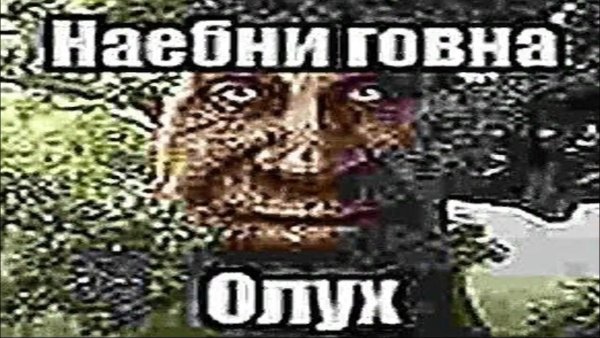 Загадочный дуб Мем