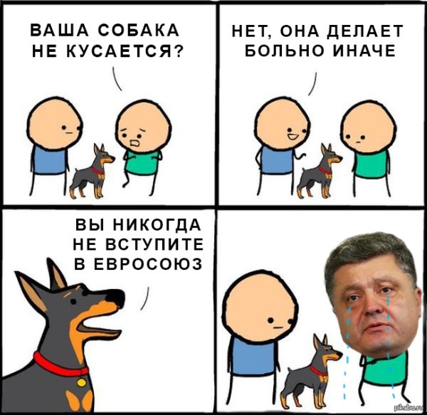 Ваша собака кусается нет она