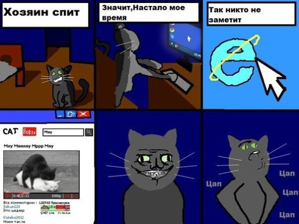 Коты мемы с надписями без матов