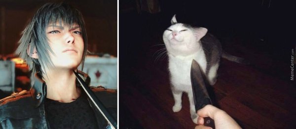 Угрожающий котик