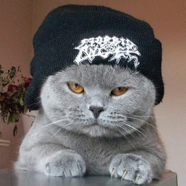 Шапка 'кошка'