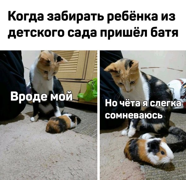 Вроде мой но что то сомневаюсь Мем