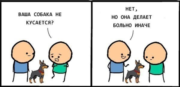 Ваша собака кусается нет она делает больно иначе