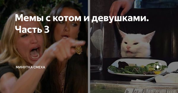 Мемы с двумя девушками и котом