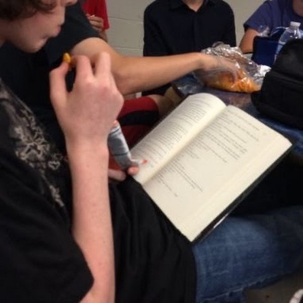 Кошка в бандане