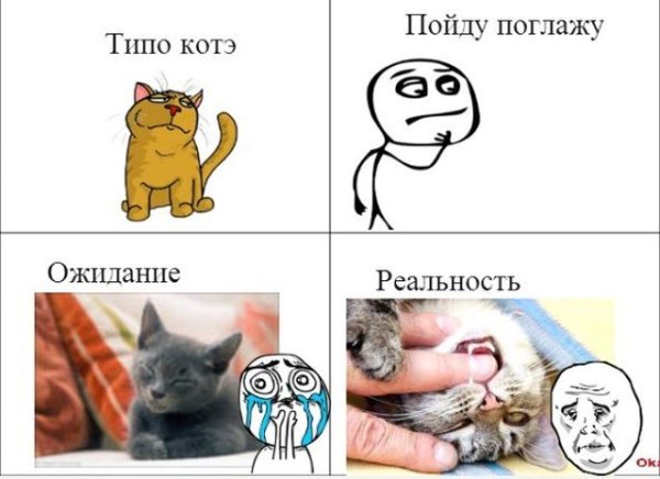 Смешные мемы