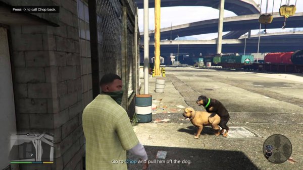 ГТА 5 Франклин с собакой