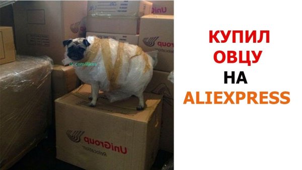 АЛИЭКСПРЕСС Мем