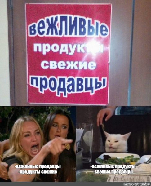 Мемы с котом и девушками