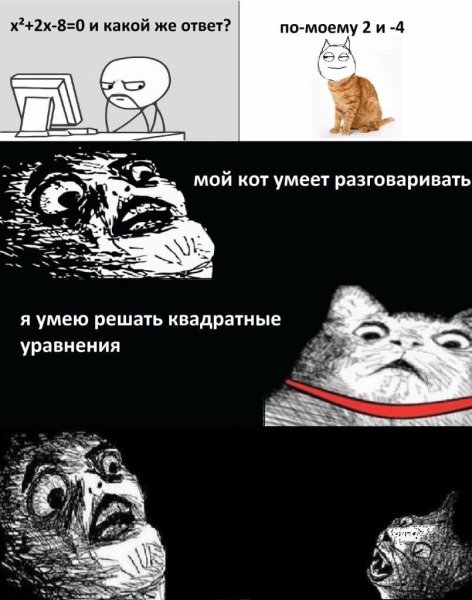 Мемы с котами