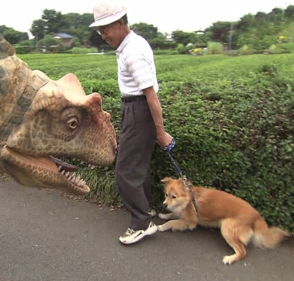 Динозавр и собака