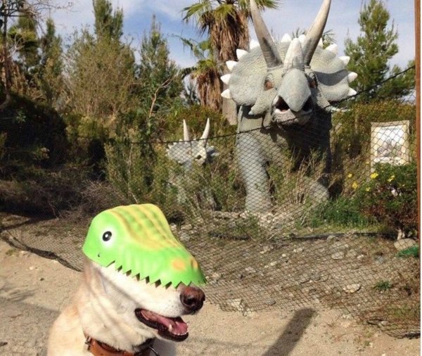 УГАРНЫЙ динозавр