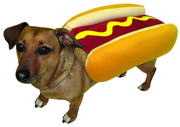 Хот дог горячая собака