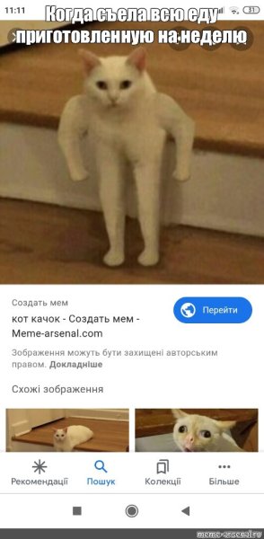 Кот качок Мем