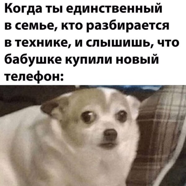 Картинки с надписями