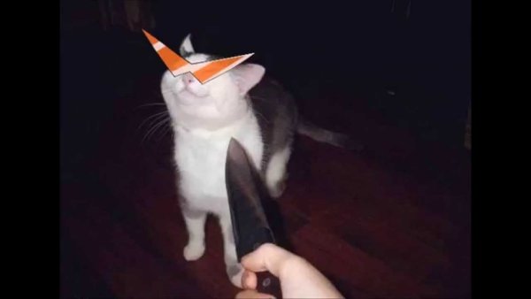 Кот с ножом Мем