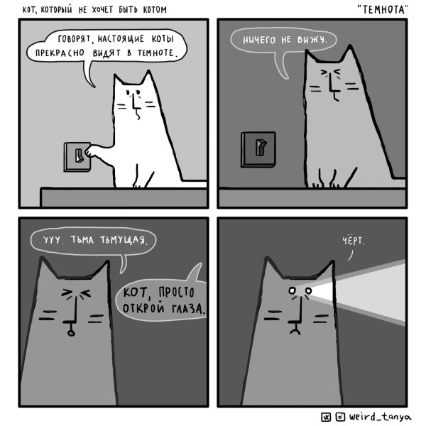 Комиксы про котиков