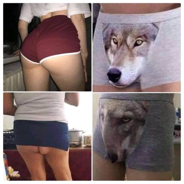 Собака с алиэкспресс