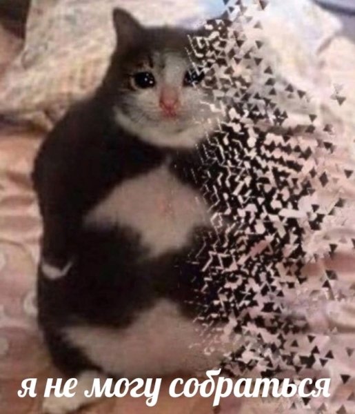 Чего наделал