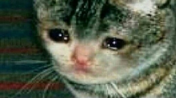 Ну вот чего ты добился