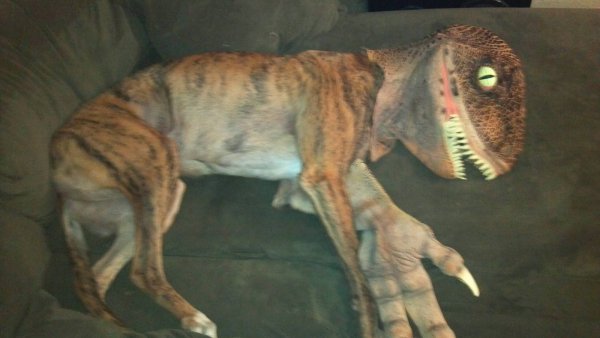 Упоротые динозавры