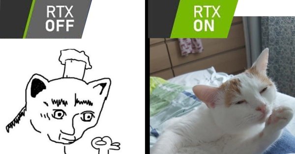 Кот Белиссимо