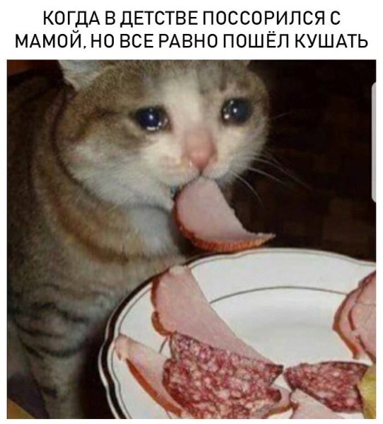 Грустно но вкусно Мем с котом