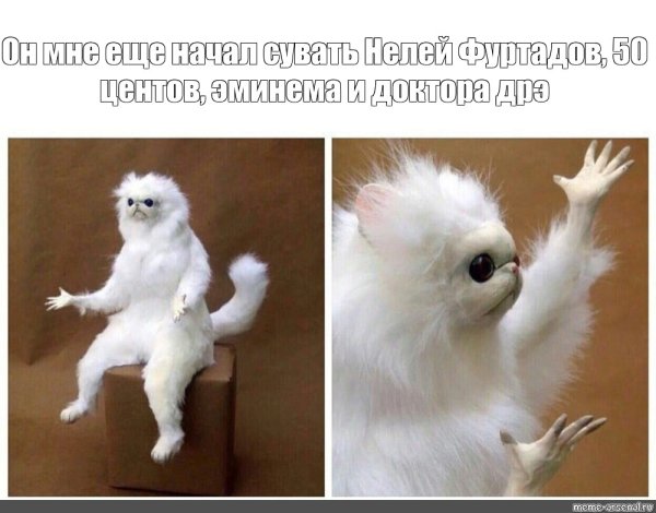 Белый зверек Мем