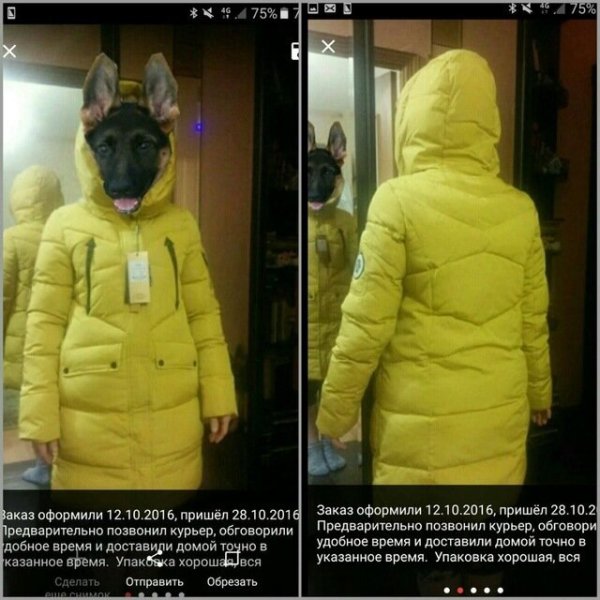 Приколы с АЛИЭКСПРЕСС