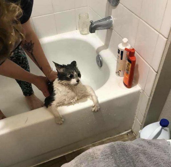 Катик в ванной