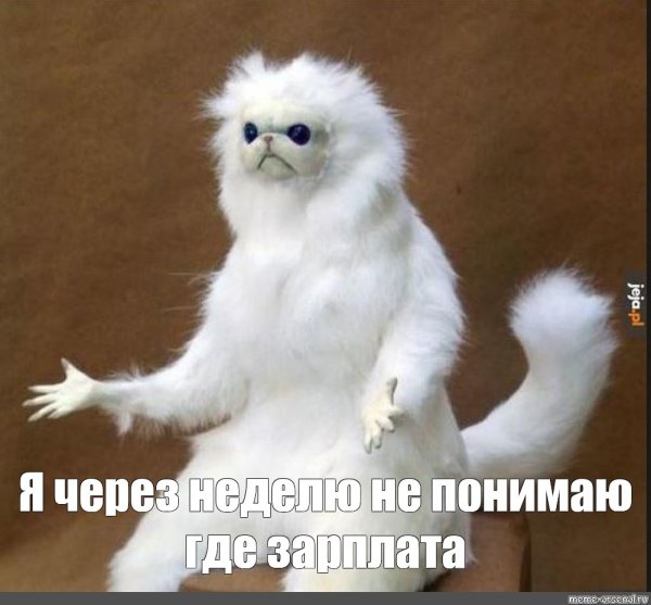 Чучело кота