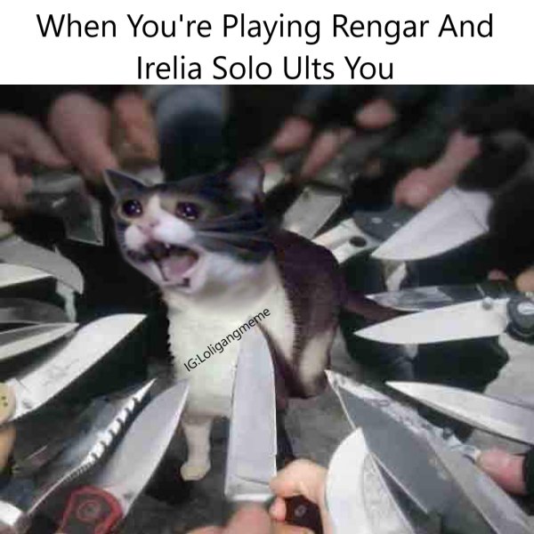 Кот с ножом Мем