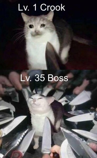 Коты с ножами