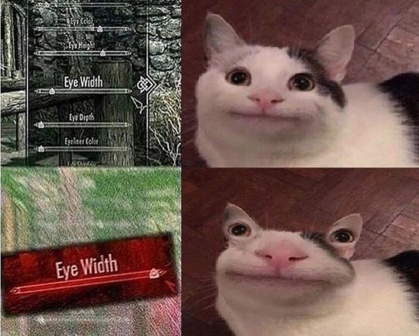 Вежливый кот