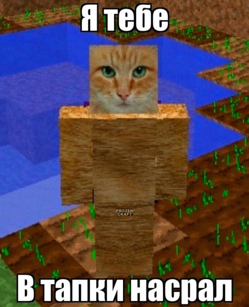 Майнкрафт мемы с котом