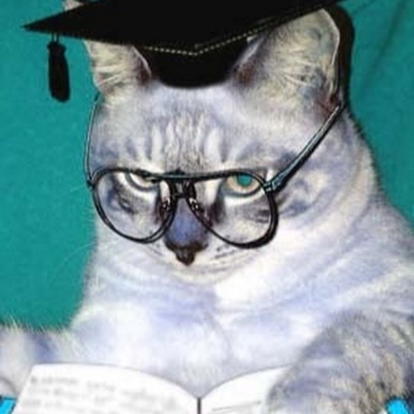 Умный кот в очках
