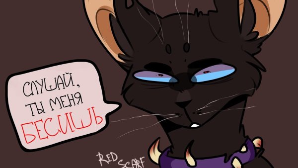 Коты Воители Звездоцап и Бич приколы