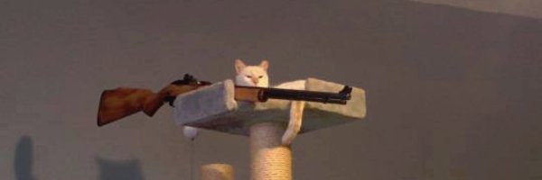 Кот с пистолетом