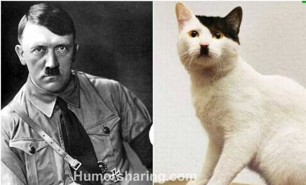 Адольф Kitler