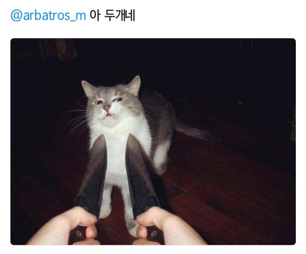 Кот с ножами вокруг