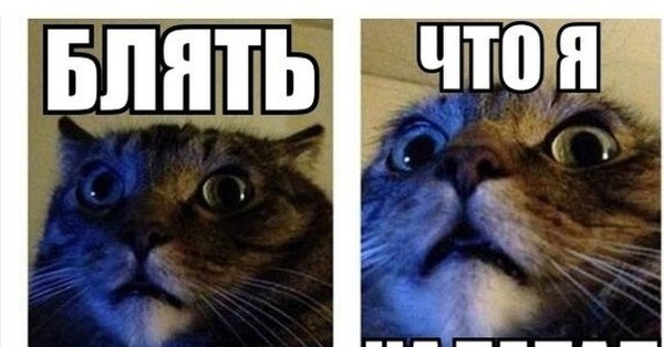 Что я наделал Мем