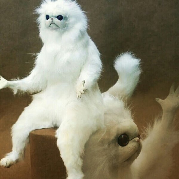 Чучело кота