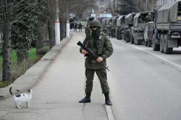 Вежливый солдат с котом